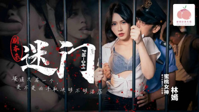PM049 스크립트 플레이-미스터리 게이트
